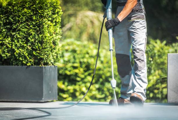 Animal Enclosure Cleaning in Greenville, FL
